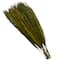 35" Natural Dried Palm Leaf Bundle with Feather-Inspired Stems